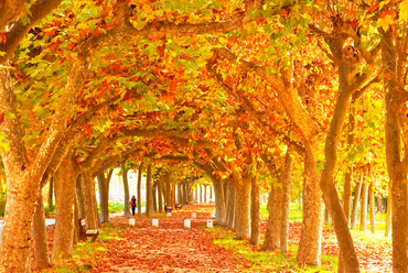 SnapCrab_NoName_2015-9-4_15-52-49_No-00