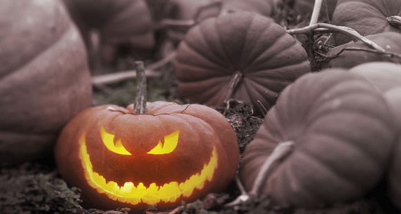 Halloween Horrors and Wishlists